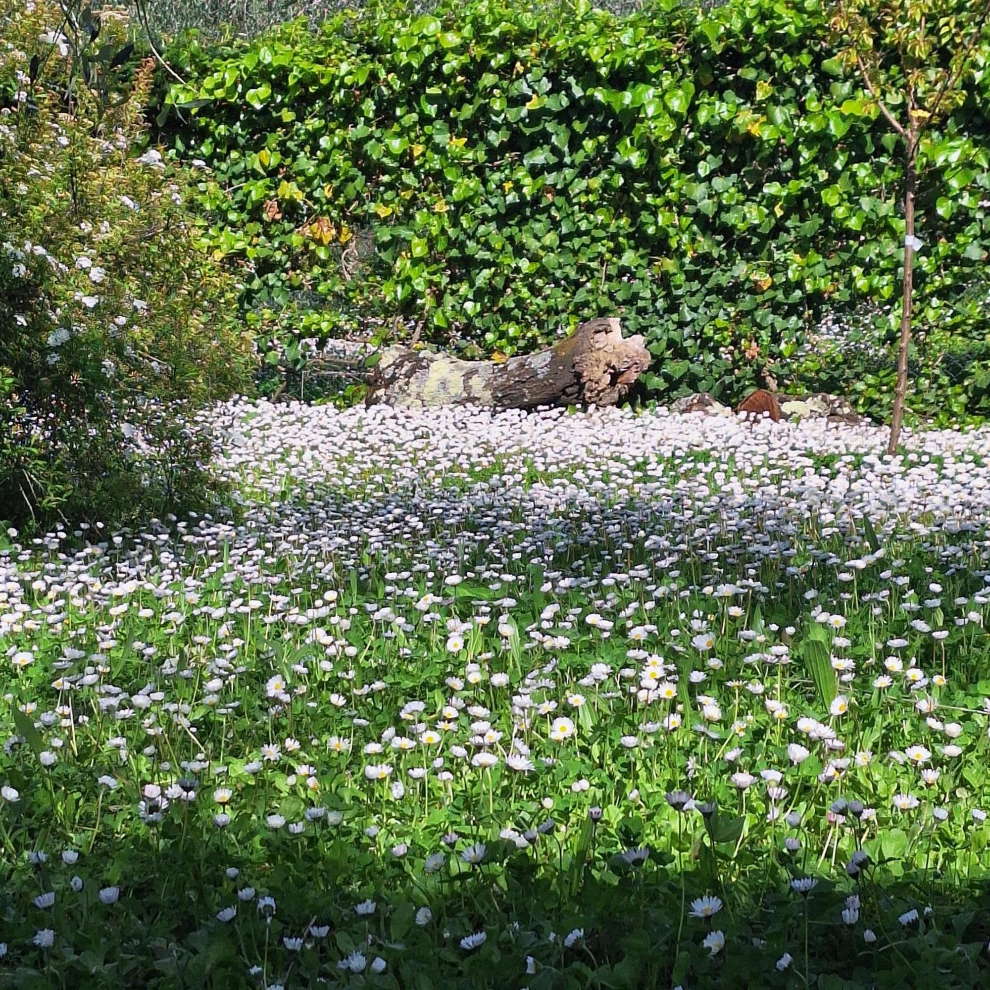 Dimora Nel Chianti * San Sano
