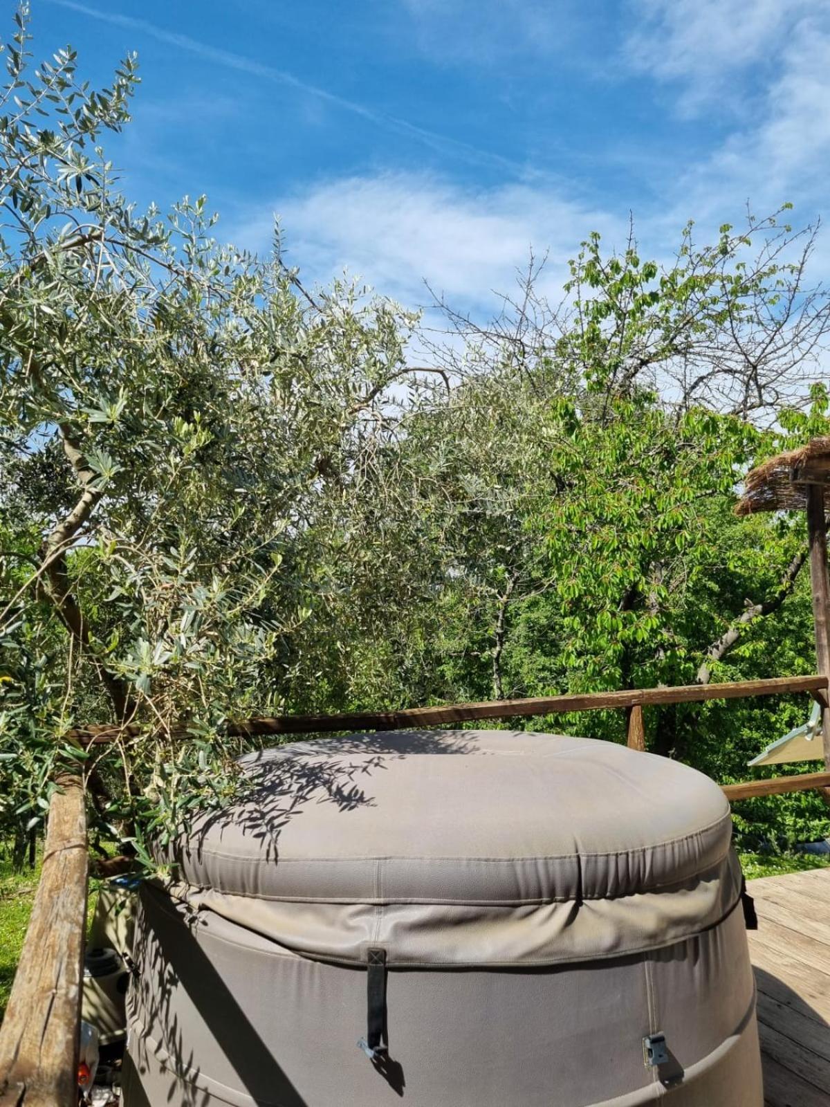 Dimora Nel Chianti