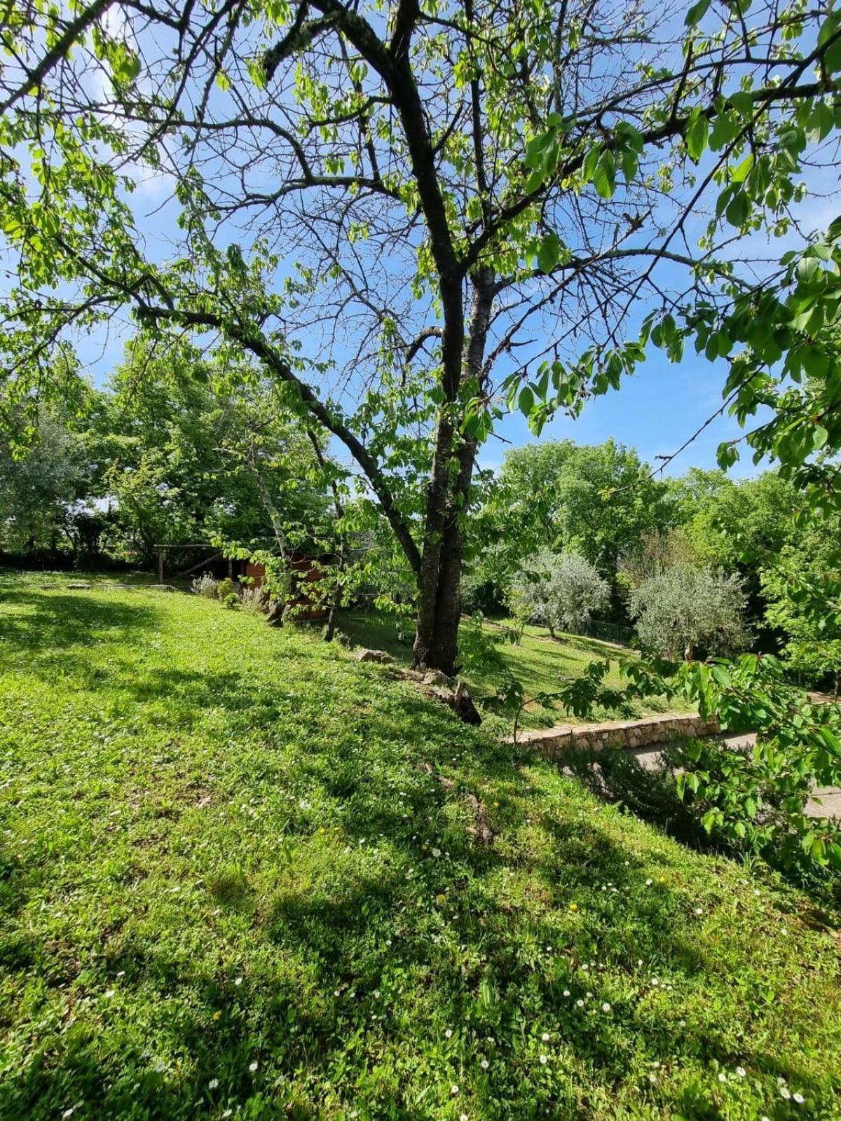 Casa de Campo Dimora Nel Chianti