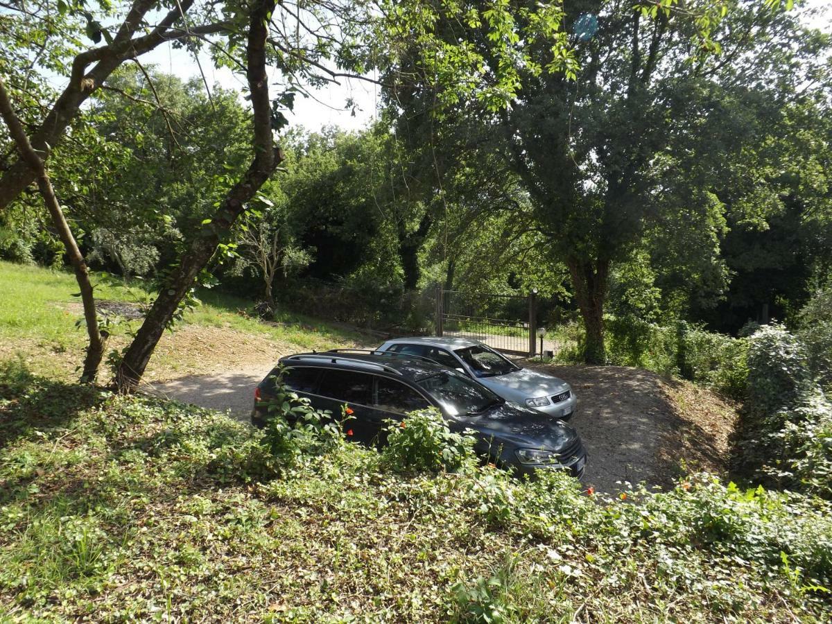 Dimora Nel Chianti *